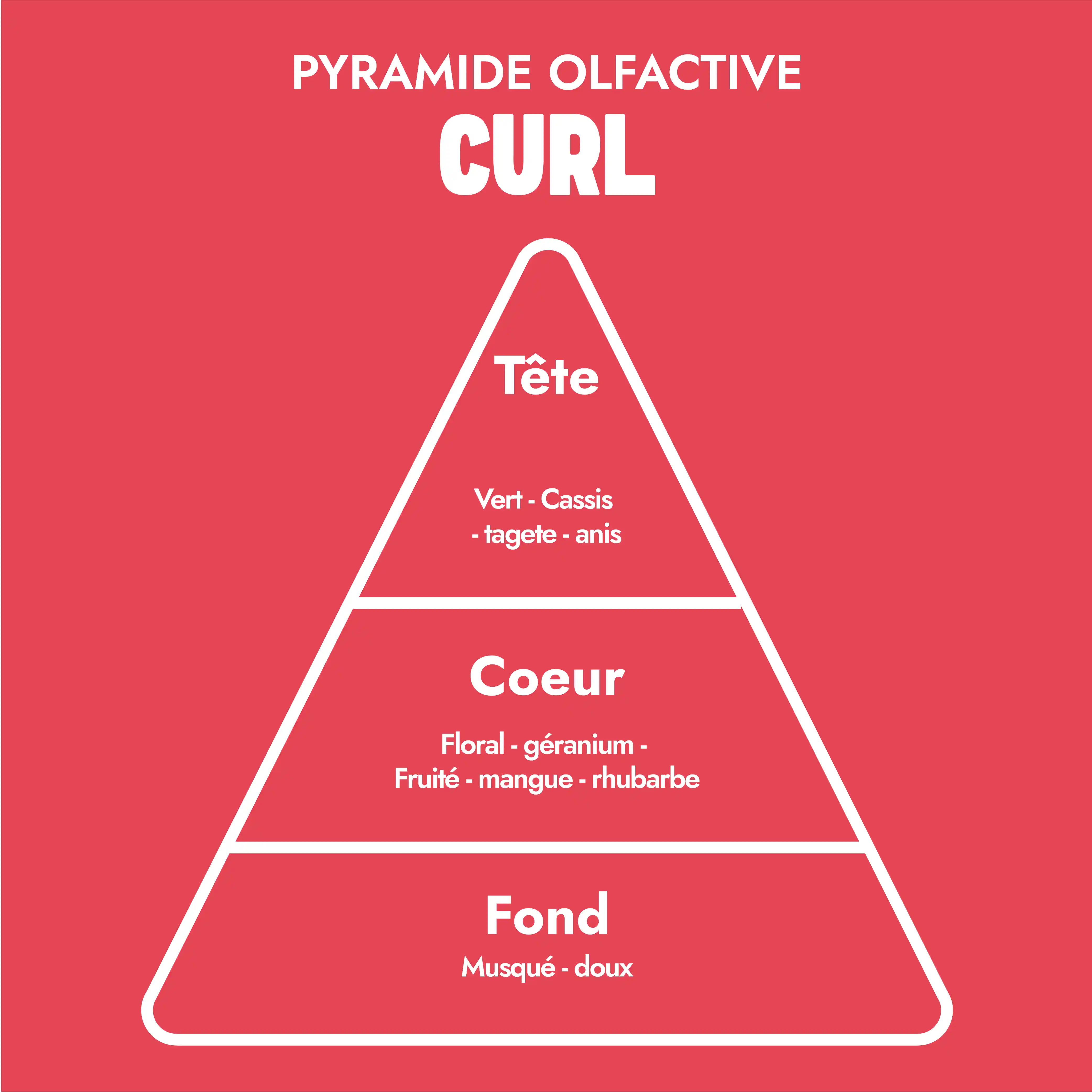 Curl Crème de Définition 250ml - Image 5