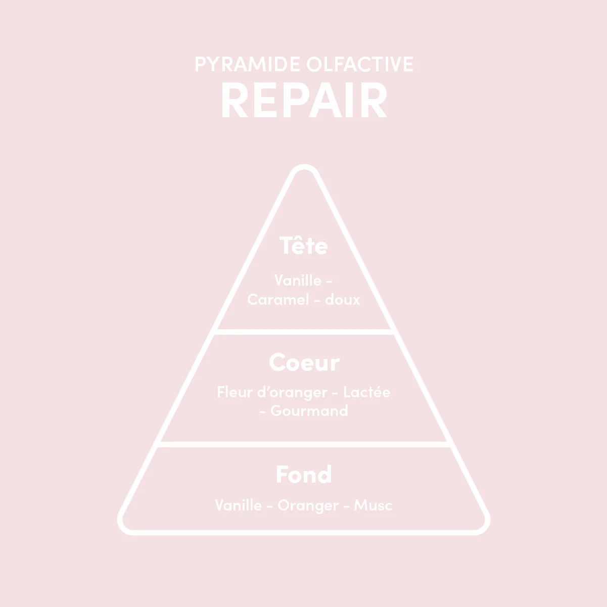 Format test Thermo Protecteur Spray Repair 10ml - Image 3