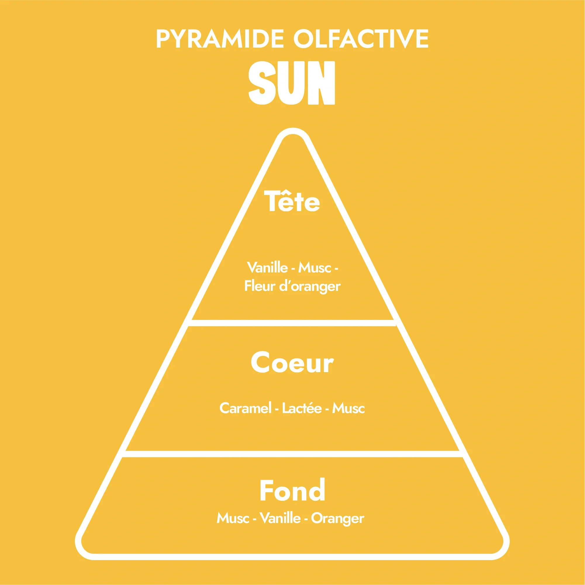 Huile Cheveux Solaire 140ml ☀︎ - Image 4